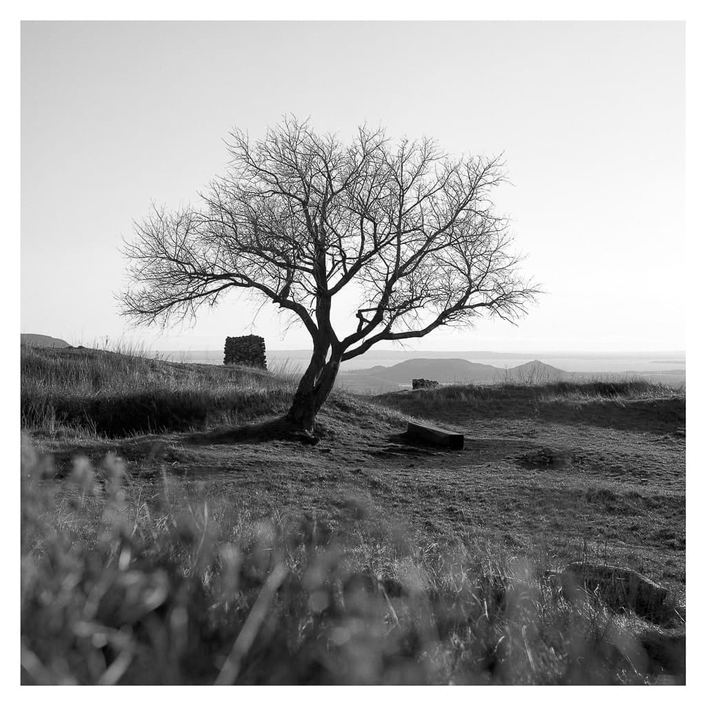 Analóg felvételel - bw – 1. kép – Fülöp Péter fotográfus