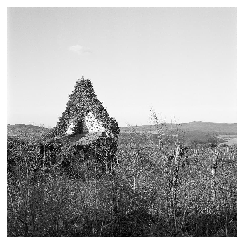 Analóg felvételel - bw – 6. kép – Fülöp Péter fotográfus