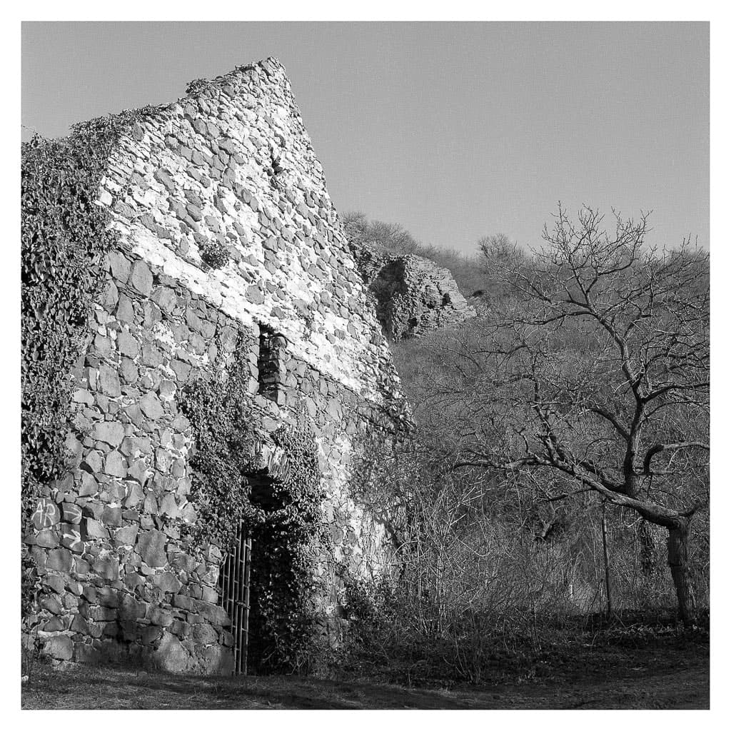 Analóg felvételel - bw – 7. kép – Fülöp Péter fotográfus