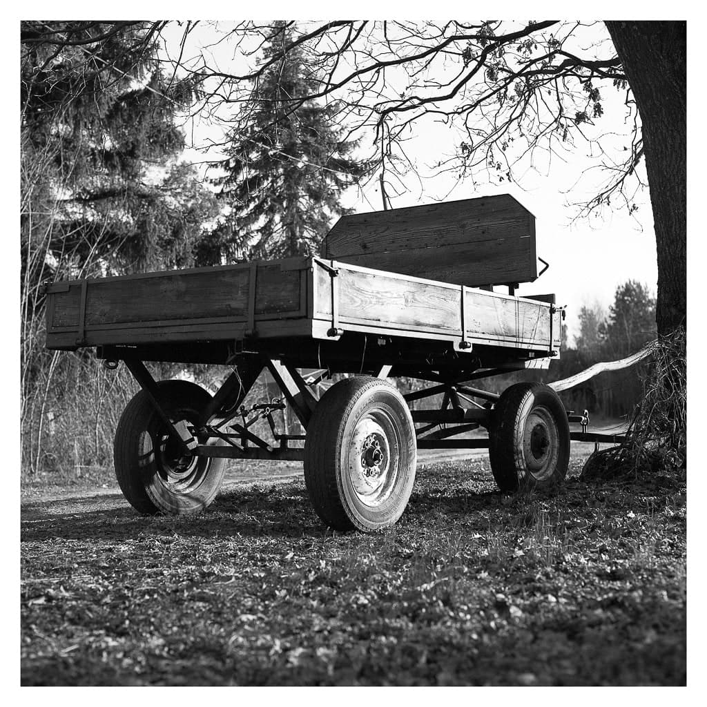 Analóg felvételel - bw – 11. kép – Fülöp Péter fotográfus