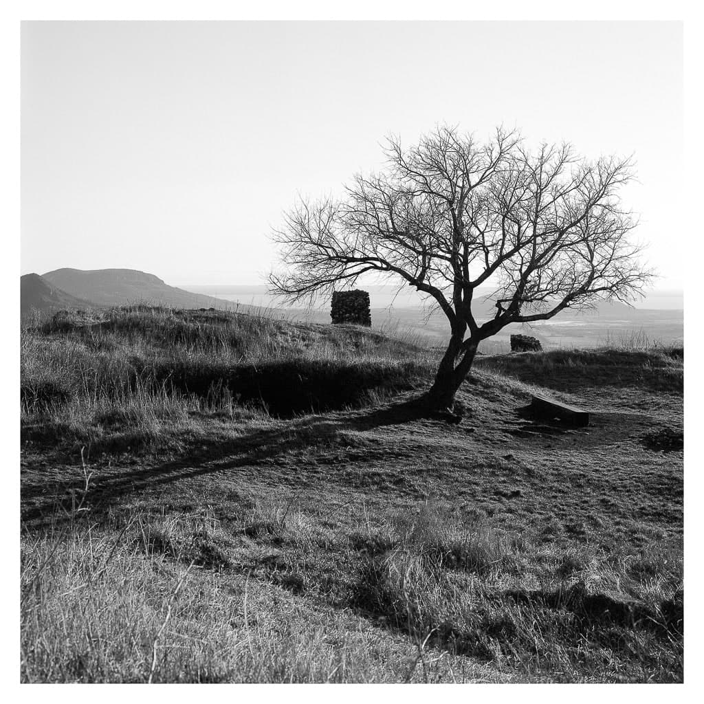 Analóg felvételel - bw – 12. kép – Fülöp Péter fotográfus