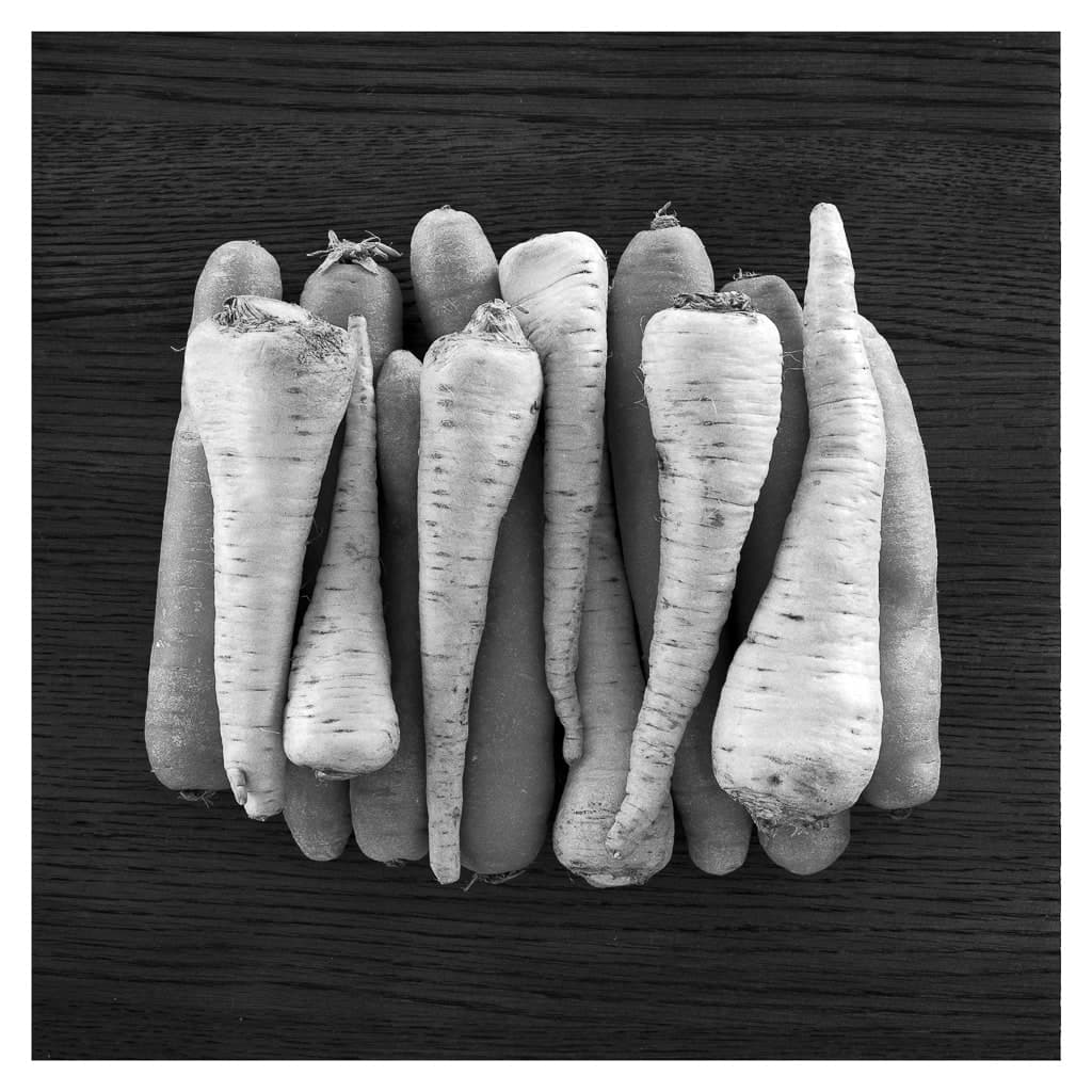 Analóg felvételel - bw – 13. kép – Fülöp Péter fotográfus