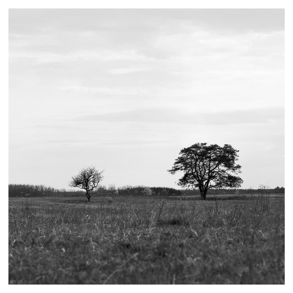 Analóg felvételel - bw – 21. kép – Fülöp Péter fotográfus