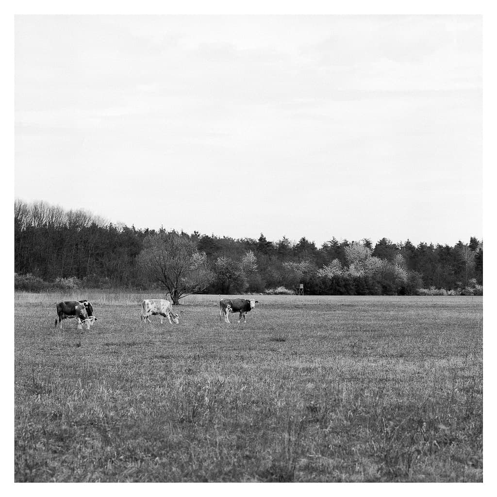 Analóg felvételel - bw – 22. kép – Fülöp Péter fotográfus