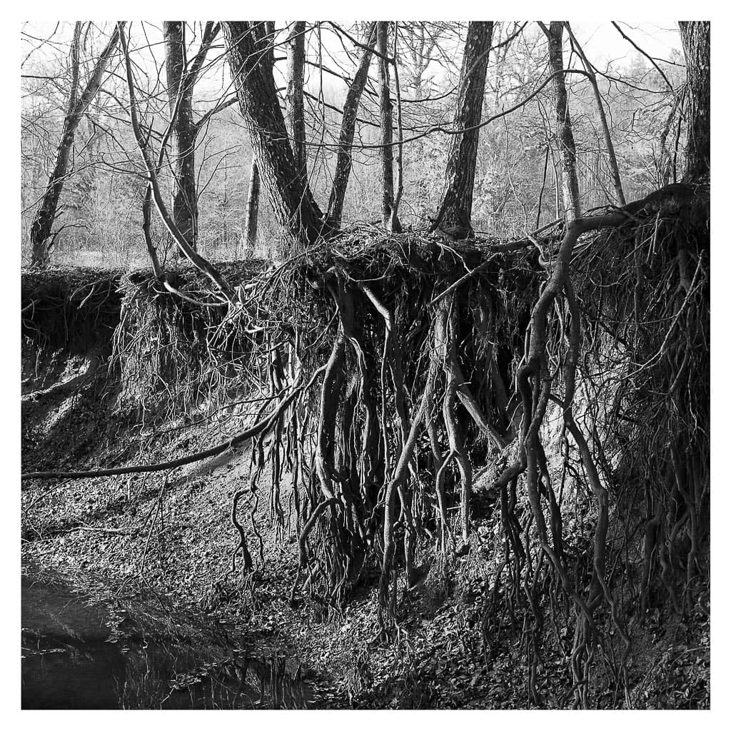 Analóg felvételel - bw – 26. kép – Fülöp Péter fotográfus