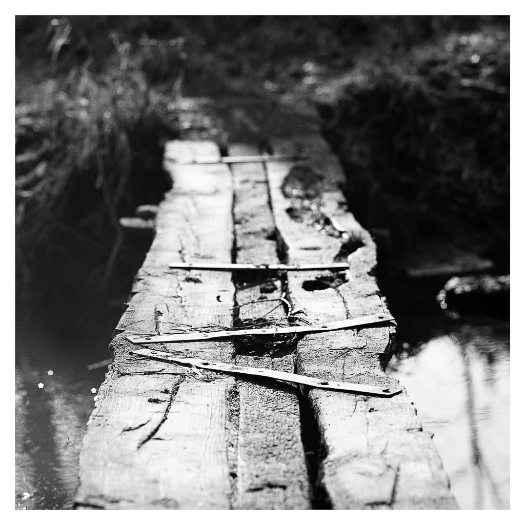 Analóg felvételel - bw – 29. kép – Fülöp Péter fotográfus