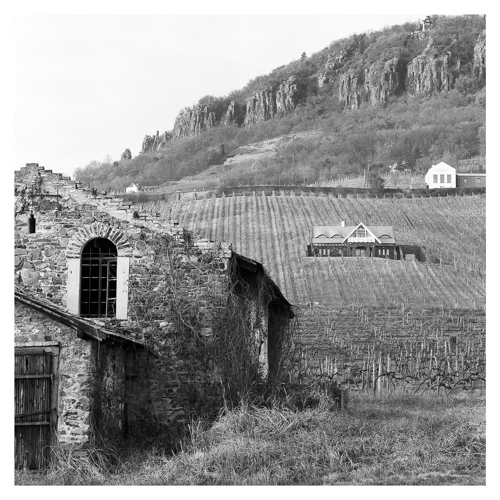 Analóg felvételel - bw – 33. kép – Fülöp Péter fotográfus