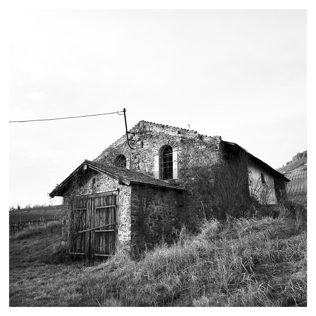 Analóg felvételel - bw – 35. kép – Fülöp Péter fotográfus