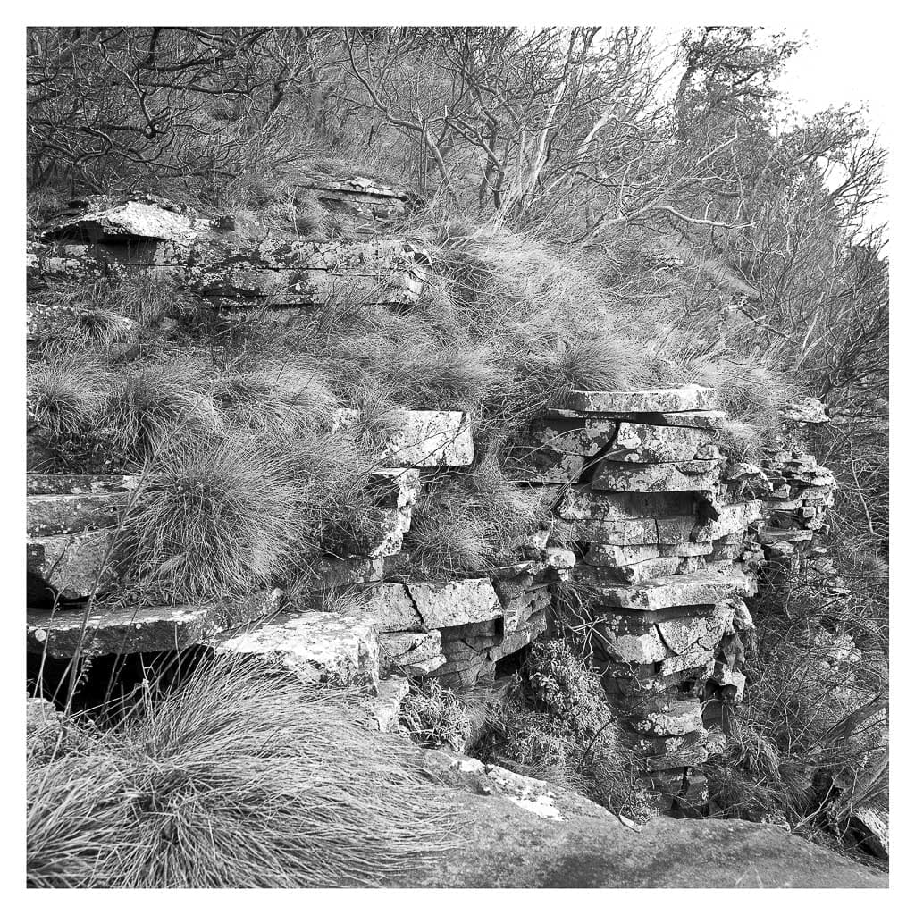 Analóg felvételel - bw – 41. kép – Fülöp Péter fotográfus