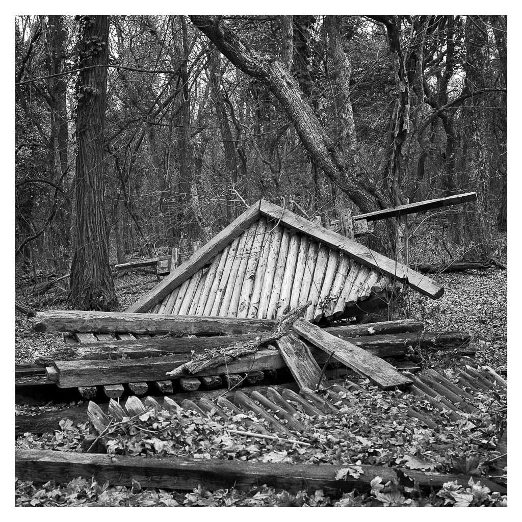 Analóg felvételel - bw – 43. kép – Fülöp Péter fotográfus