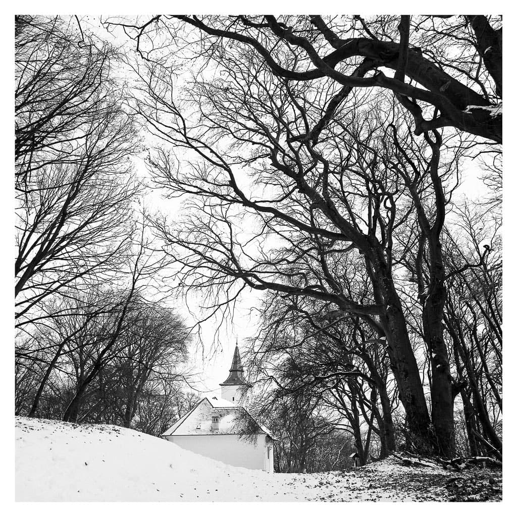 Analóg felvételel - bw – 46. kép – Fülöp Péter fotográfus