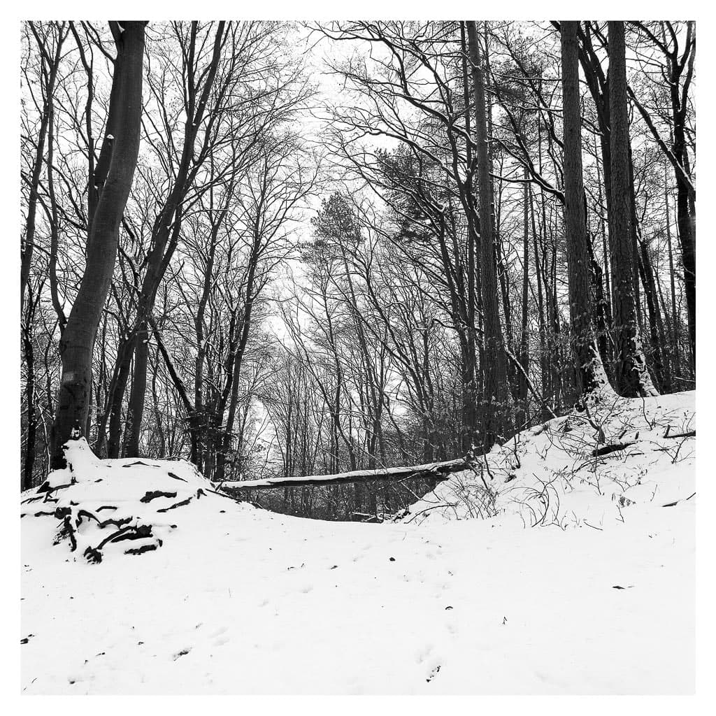 Analóg felvételel - bw – 48. kép – Fülöp Péter fotográfus