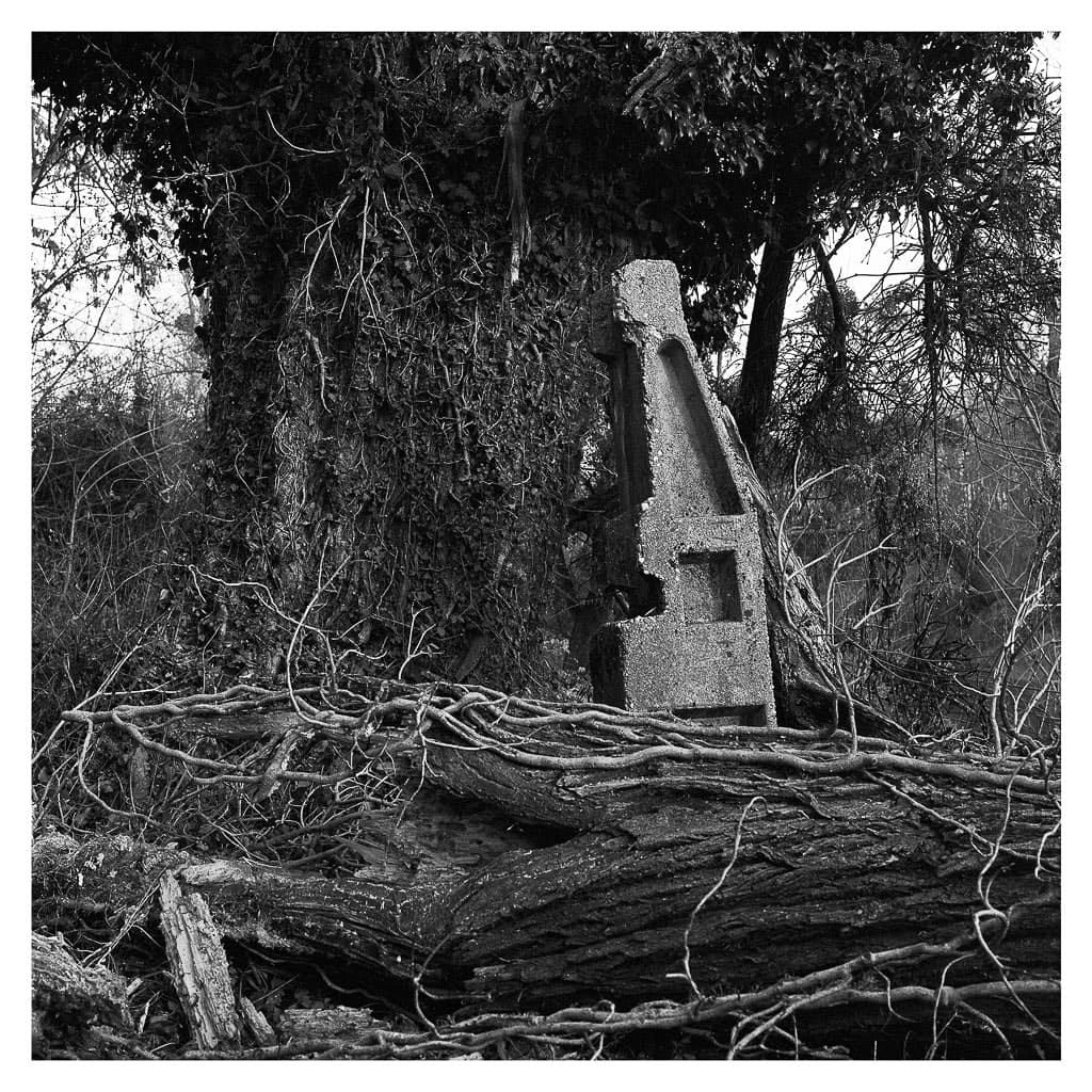 Analóg felvételel - bw – 52. kép – Fülöp Péter fotográfus