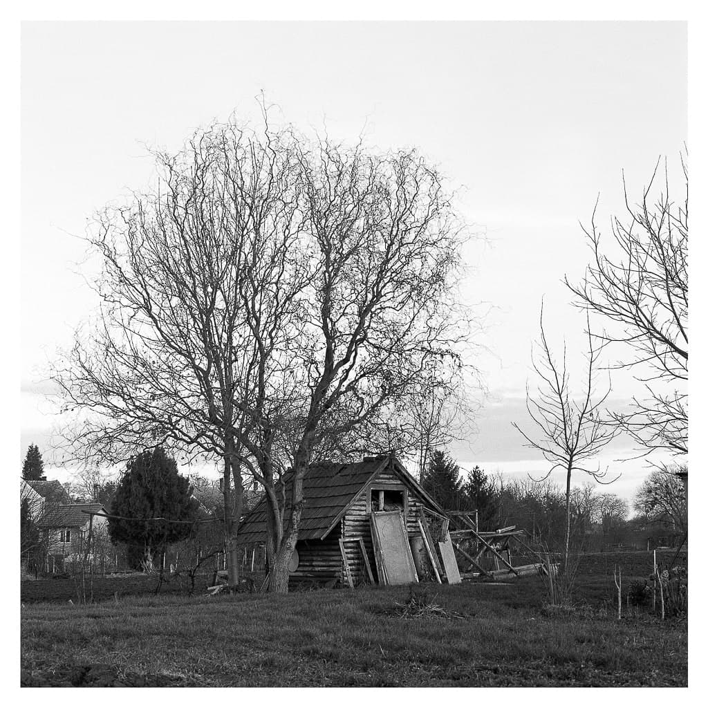 Analóg felvételel - bw – 54. kép – Fülöp Péter fotográfus