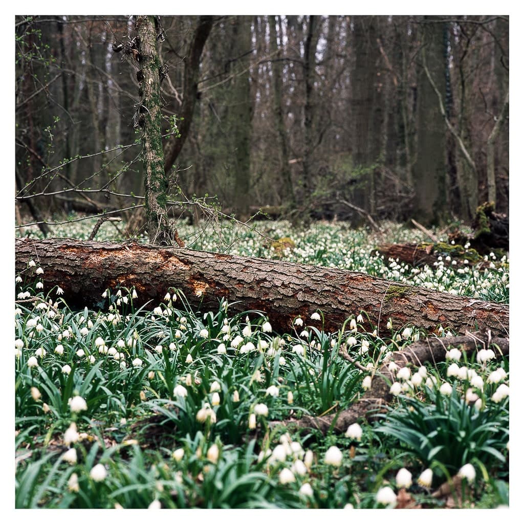 Analóg felvételel - color – 10. kép – Fülöp Péter fotográfus