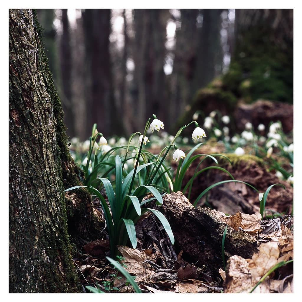 Analóg felvételel - color – 12. kép – Fülöp Péter fotográfus