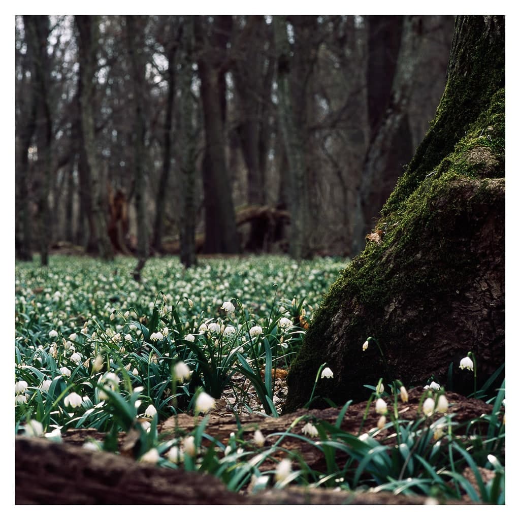 Analóg felvételel - color – 15. kép – Fülöp Péter fotográfus