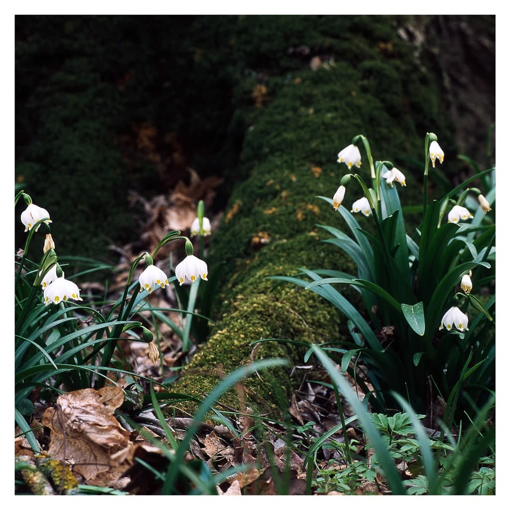 Analóg felvételel - color – 18. kép – Fülöp Péter fotográfus