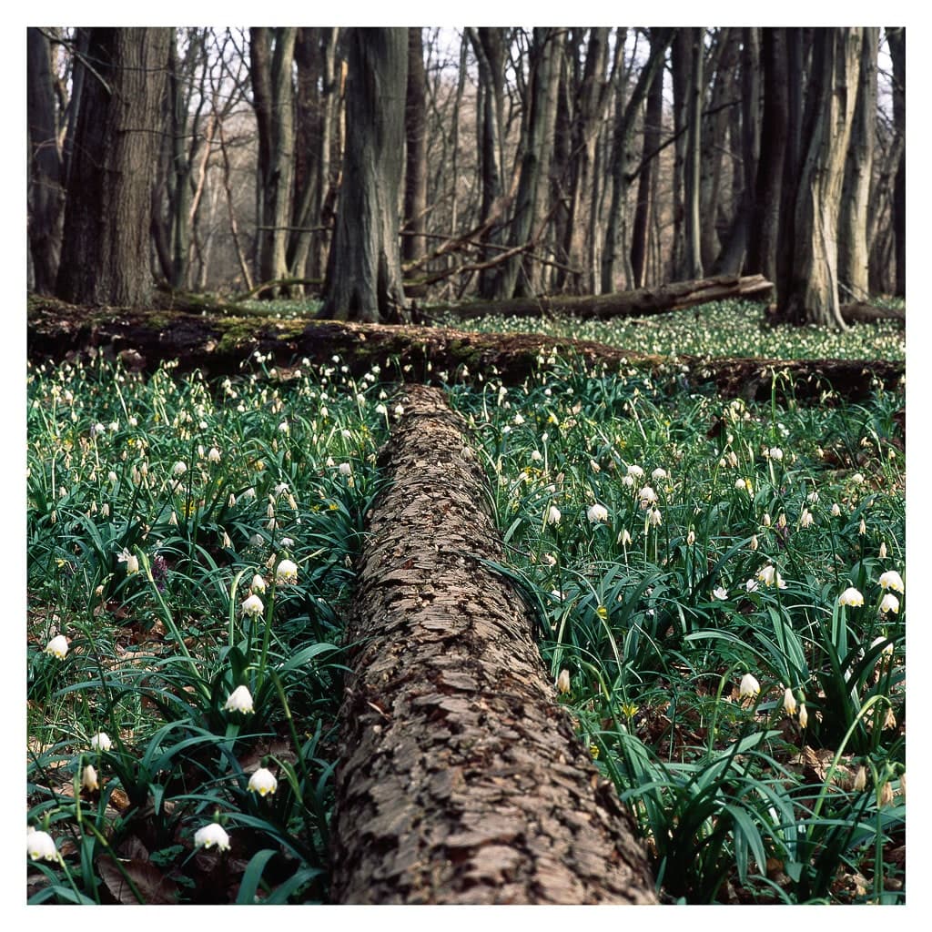 Analóg felvételel - color – 22. kép – Fülöp Péter fotográfus