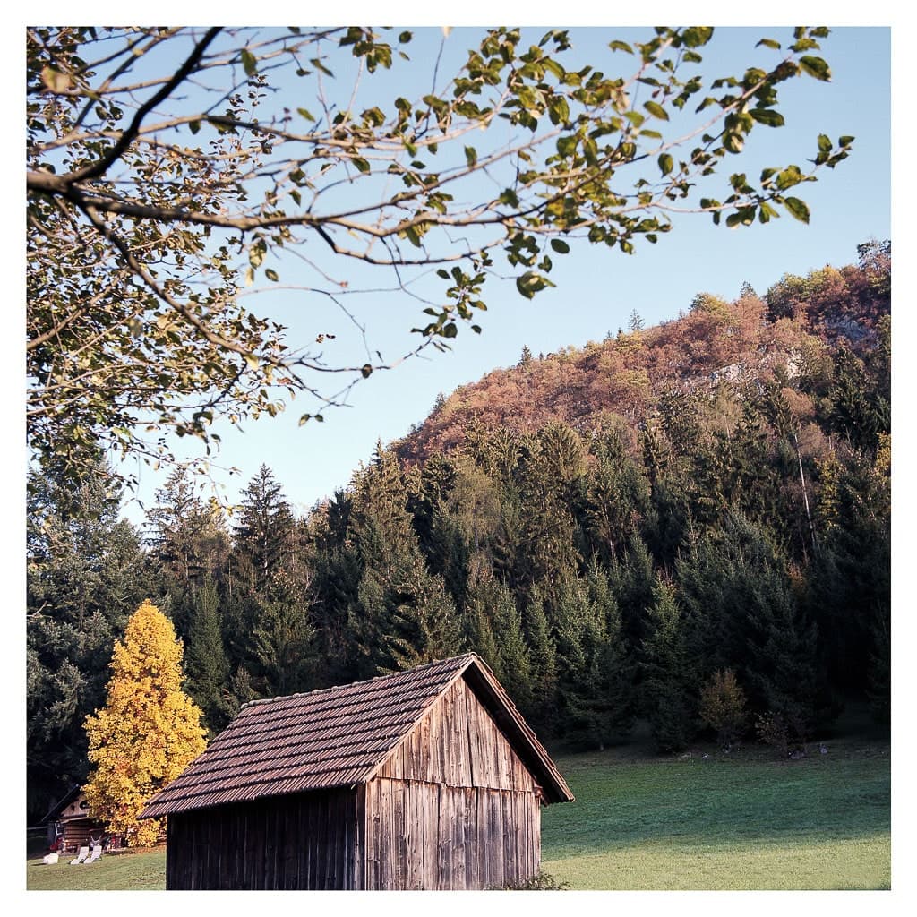 Analóg felvételel - color – 32. kép – Fülöp Péter fotográfus