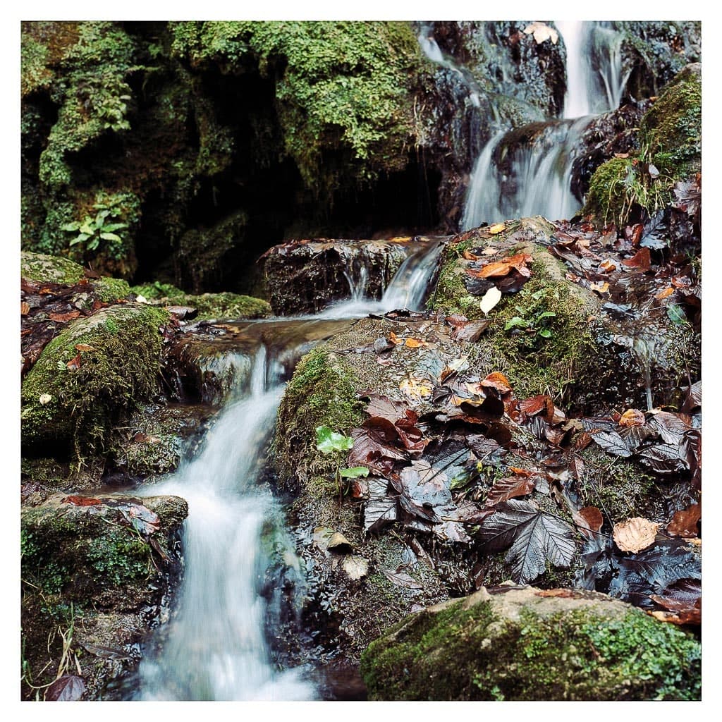 Analóg felvételel - color – 35. kép – Fülöp Péter fotográfus