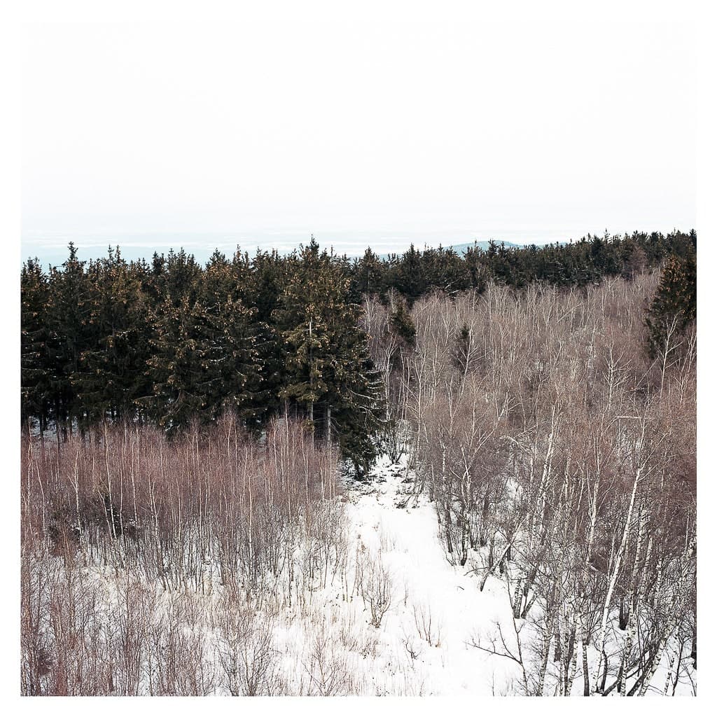 Analóg felvételel - color – 41. kép – Fülöp Péter fotográfus