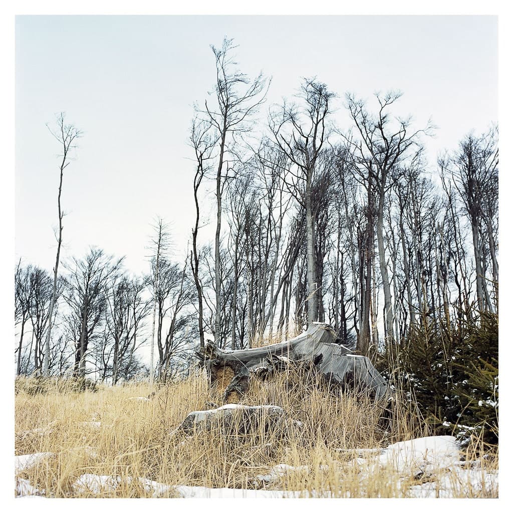 Analóg felvételel - color – 42. kép – Fülöp Péter fotográfus