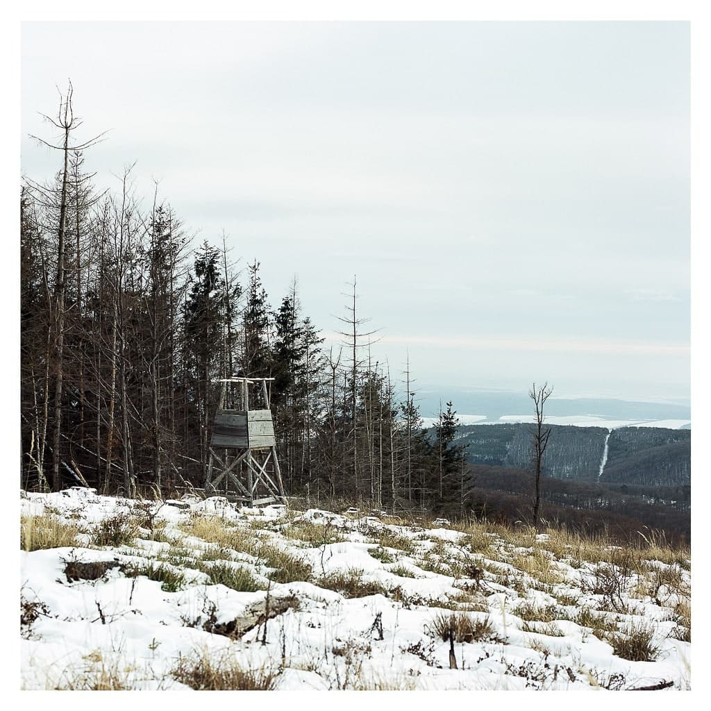 Analóg felvételel - color – 47. kép – Fülöp Péter fotográfus