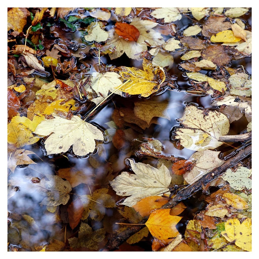 Analóg felvételel - color – 49. kép – Fülöp Péter fotográfus