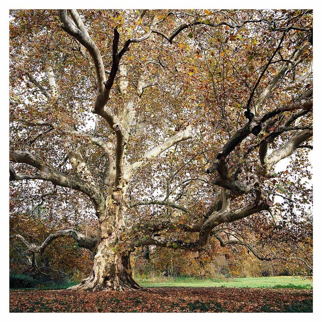 Analóg felvételel - color – 50. kép – Fülöp Péter fotográfus