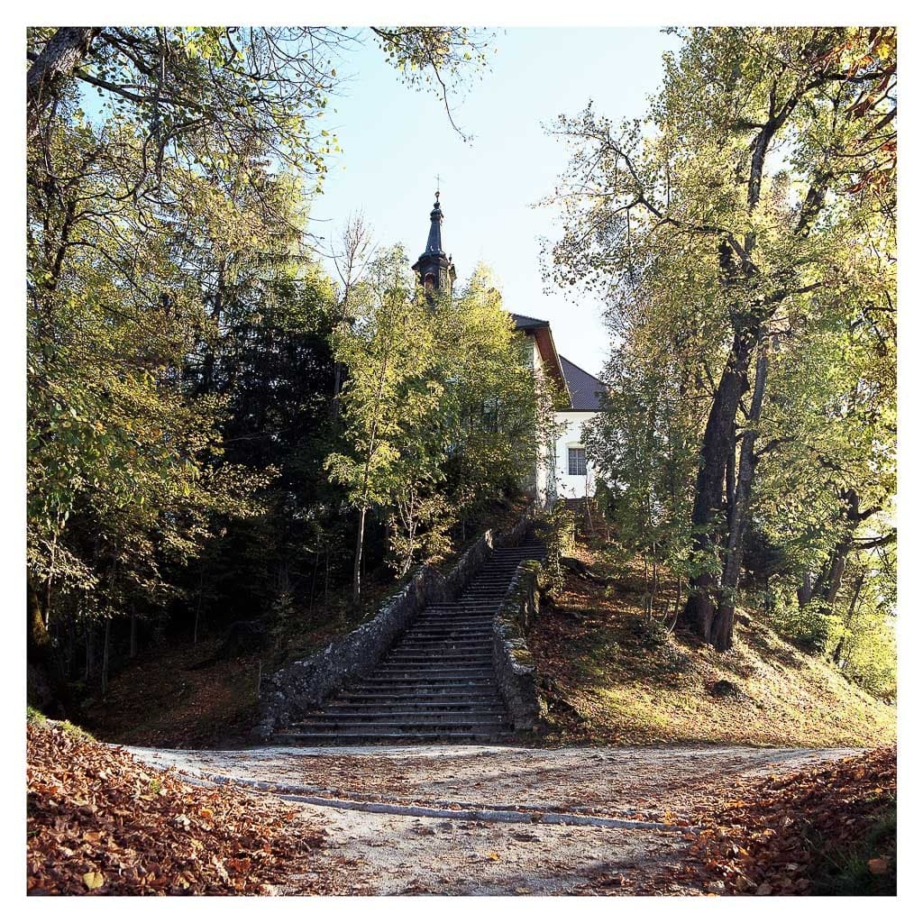 Analóg felvételel - color – 53. kép – Fülöp Péter fotográfus