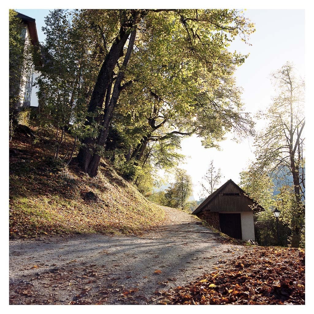 Analóg felvételel - color – 54. kép – Fülöp Péter fotográfus