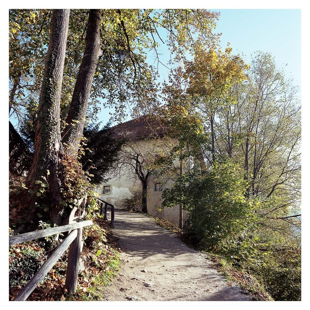 Analóg felvételel - color – 55. kép – Fülöp Péter fotográfus