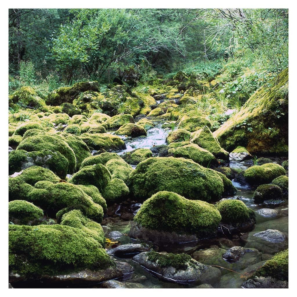 Analóg felvételel - color – 57. kép – Fülöp Péter fotográfus