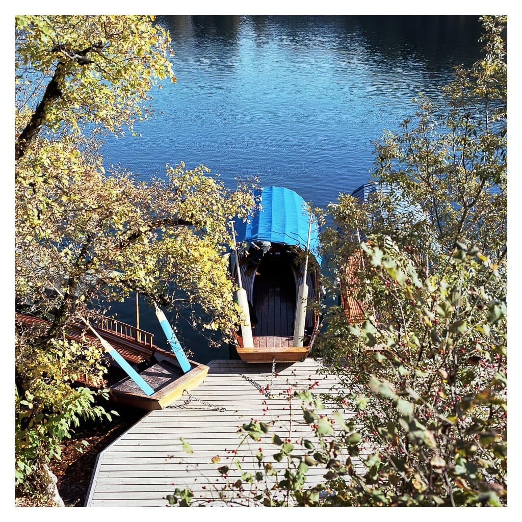 Analóg felvételel - color – 58. kép – Fülöp Péter fotográfus