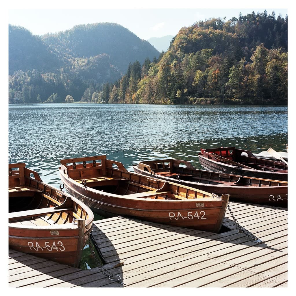 Analóg felvételel - color – 59. kép – Fülöp Péter fotográfus