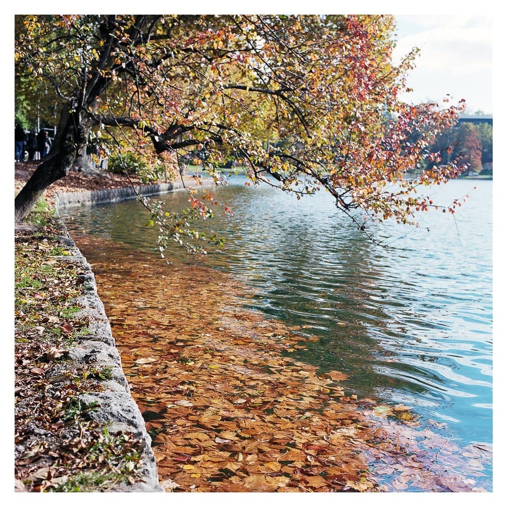 Analóg felvételel - color – 62. kép – Fülöp Péter fotográfus