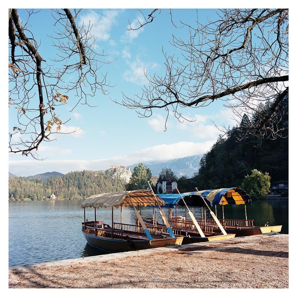 Analóg felvételel - color – 63. kép – Fülöp Péter fotográfus