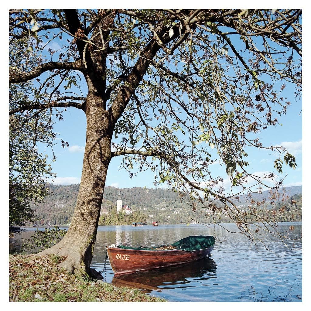 Analóg felvételel - color – 64. kép – Fülöp Péter fotográfus