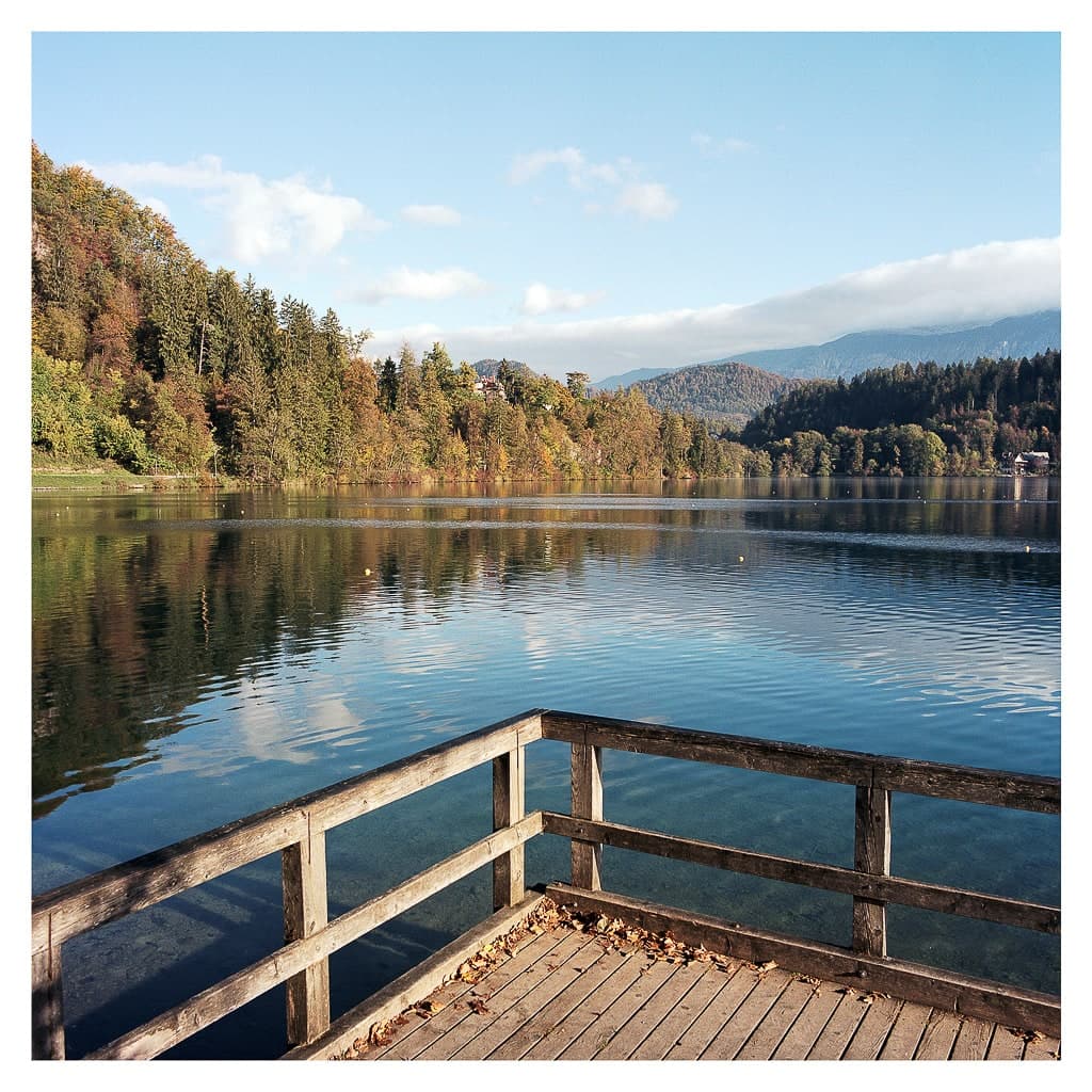 Analóg felvételel - color – 65. kép – Fülöp Péter fotográfus