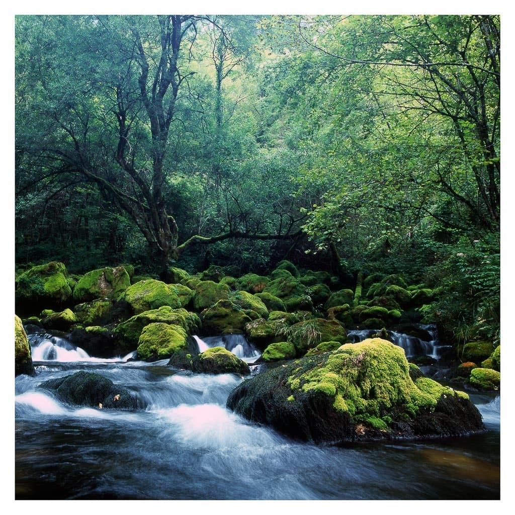 Analóg felvételel - color – 68. kép – Fülöp Péter fotográfus