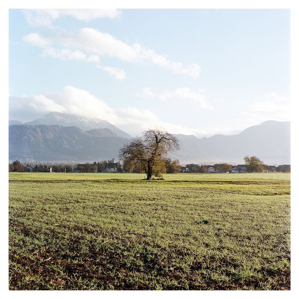 Analóg felvételel - color – 69. kép – Fülöp Péter fotográfus