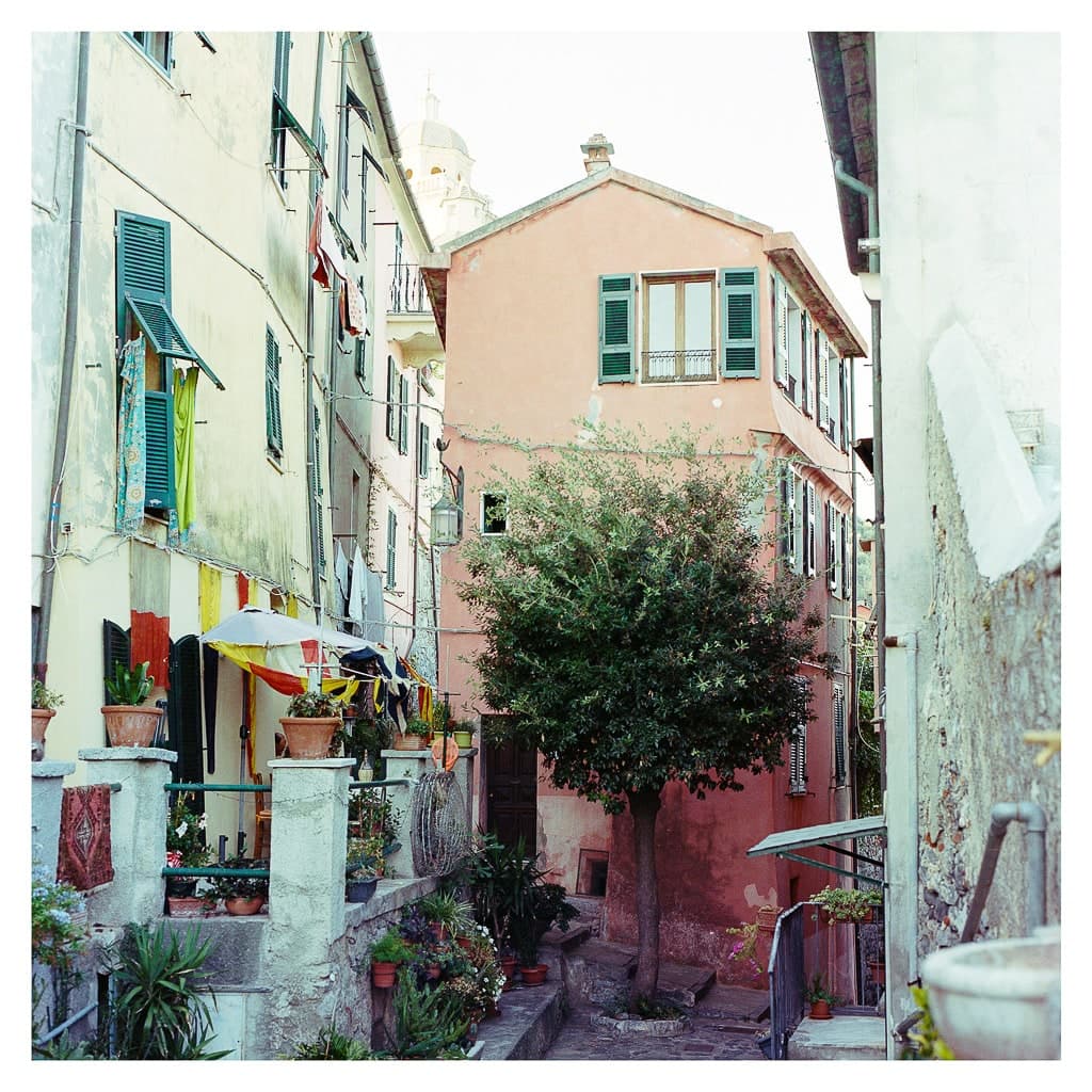 Analóg felvételel - color – 72. kép – Fülöp Péter fotográfus