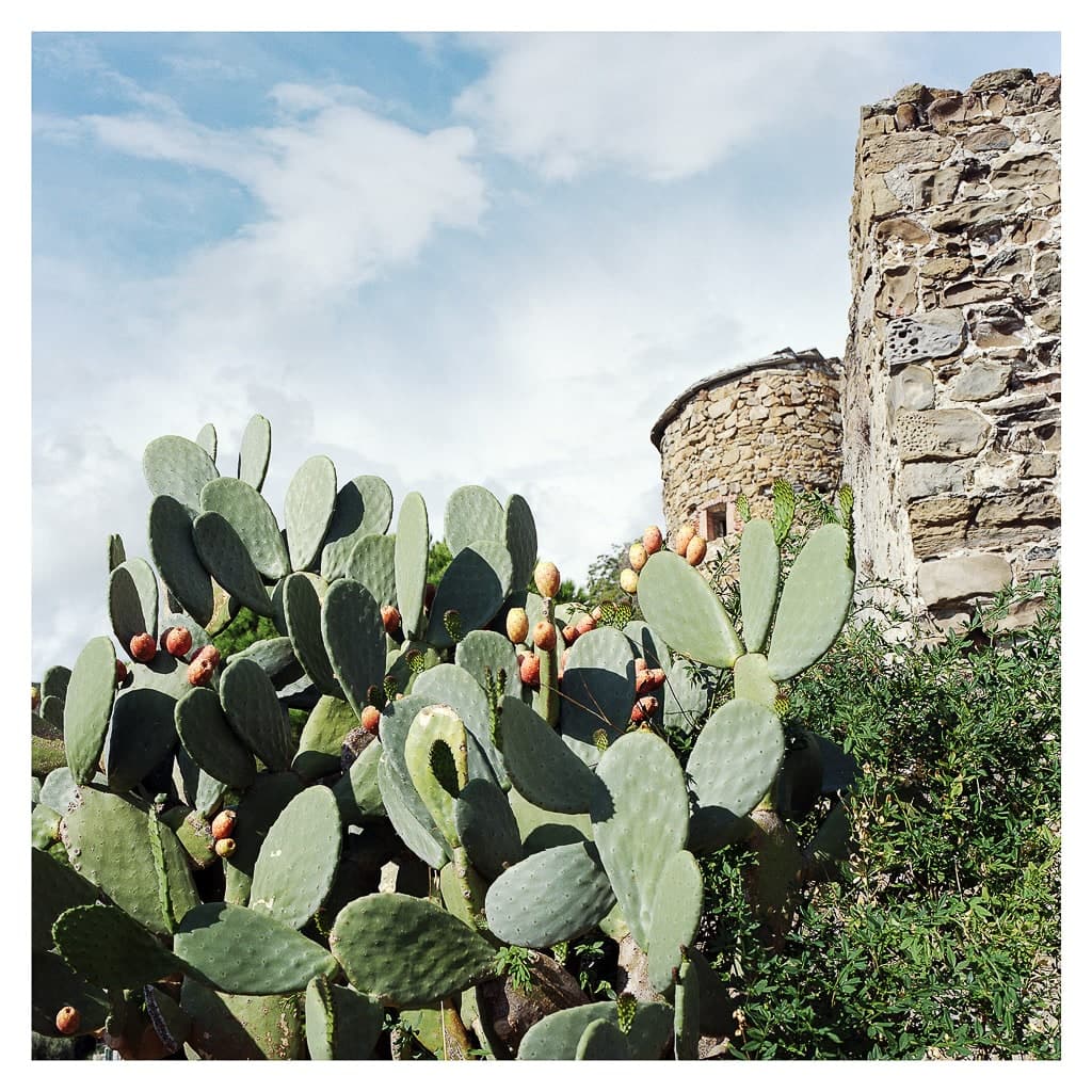 Analóg felvételel - color – 81. kép – Fülöp Péter fotográfus