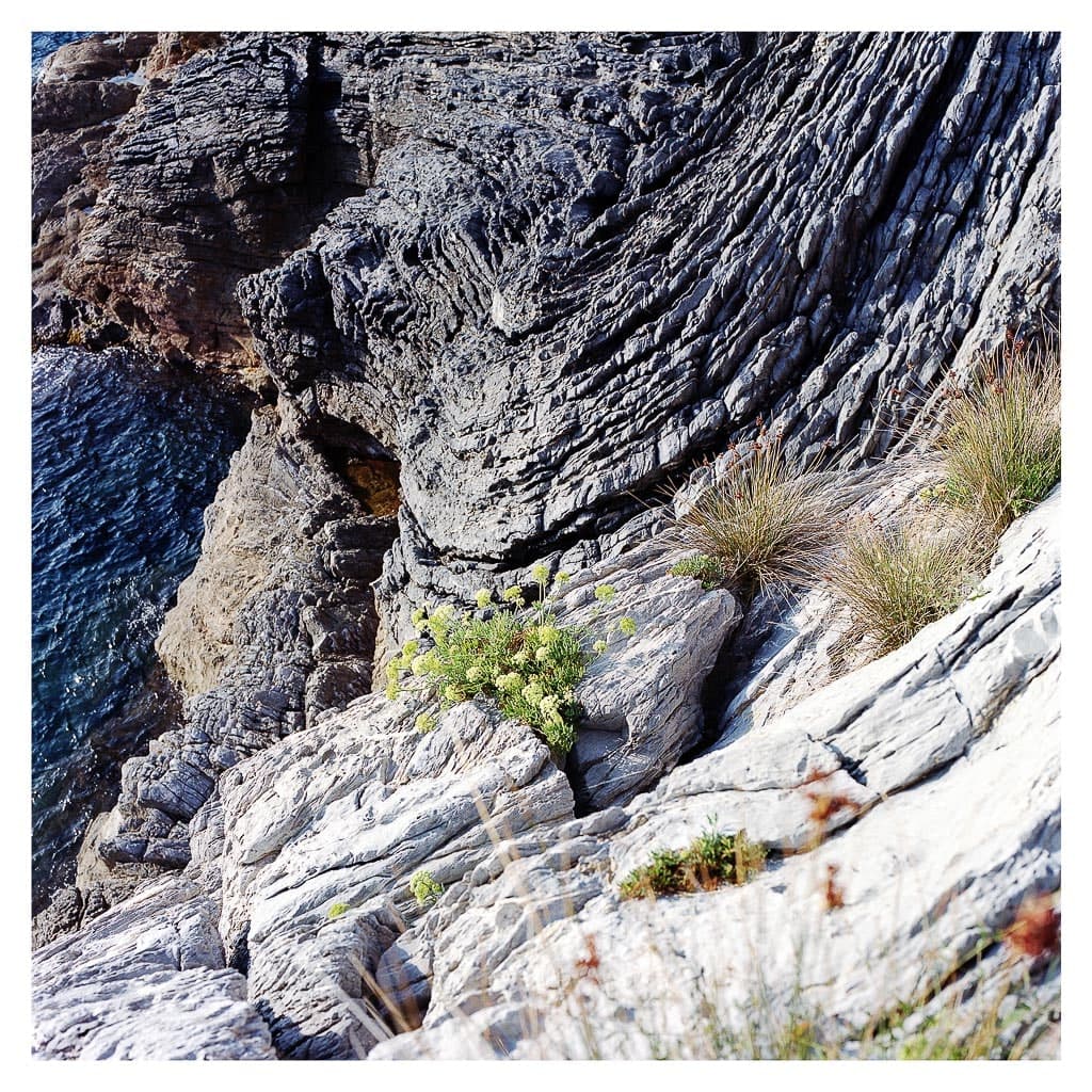 Analóg felvételel - color – 85. kép – Fülöp Péter fotográfus