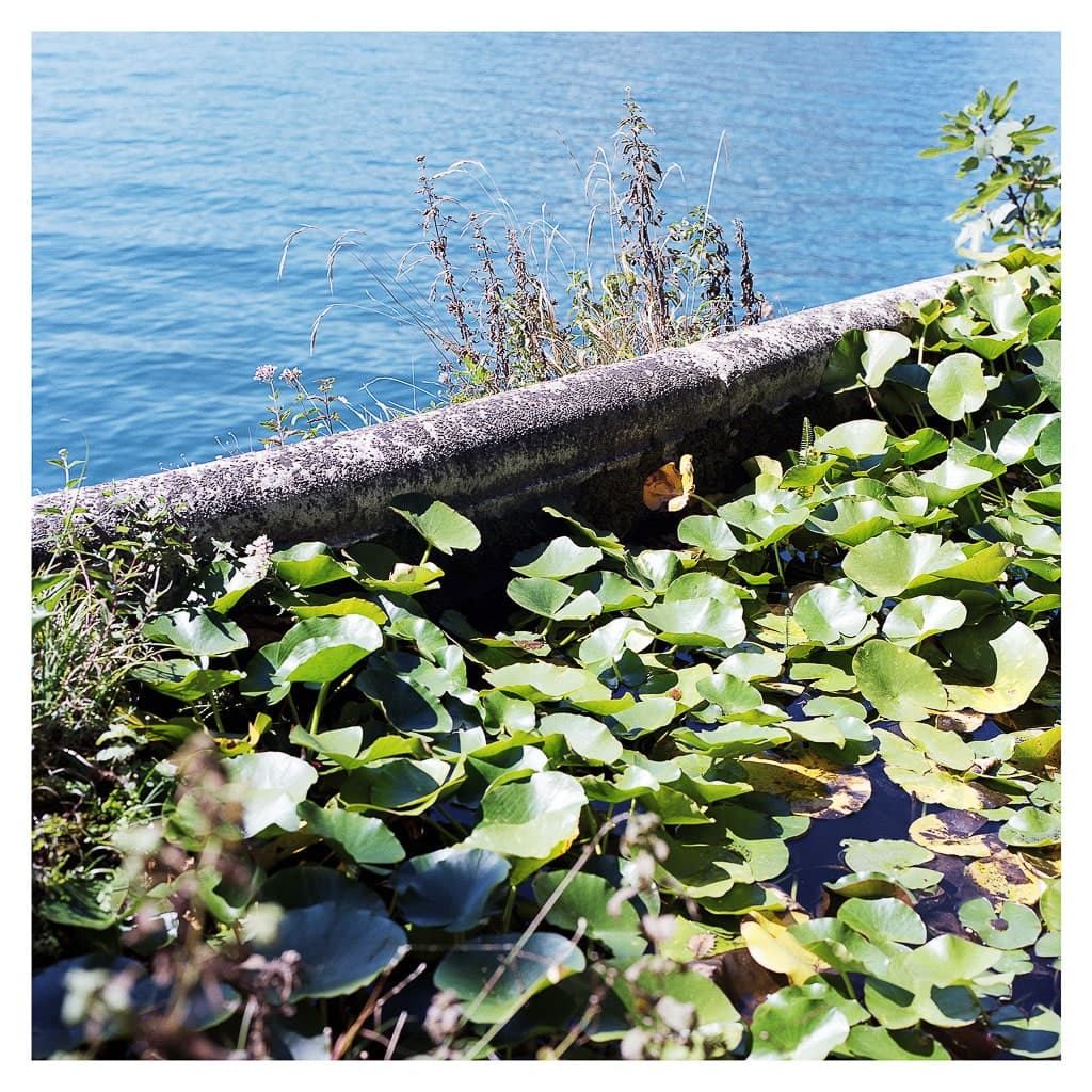 Analóg felvételel - color – 104. kép – Fülöp Péter fotográfus