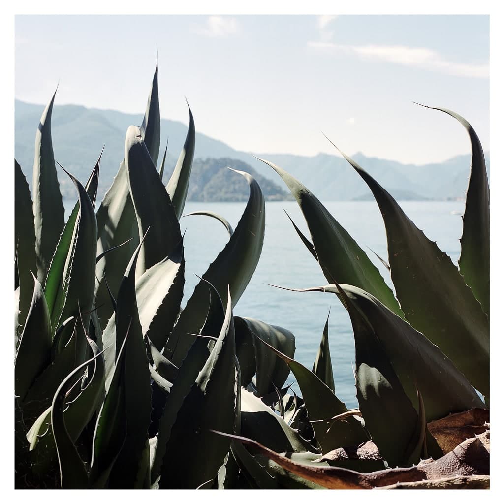 Analóg felvételel - color – 105. kép – Fülöp Péter fotográfus