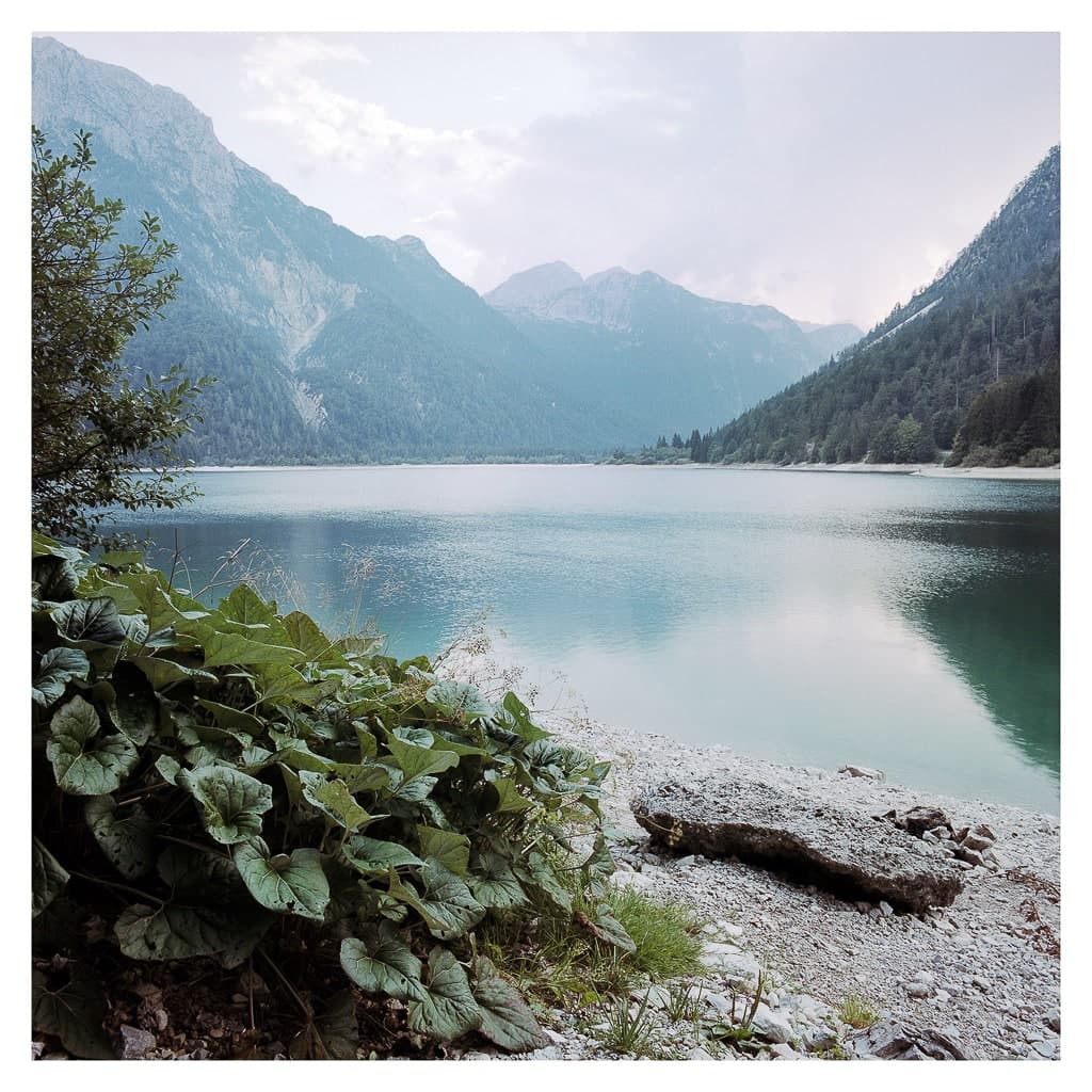 Analóg felvételel - color – 108. kép – Fülöp Péter fotográfus