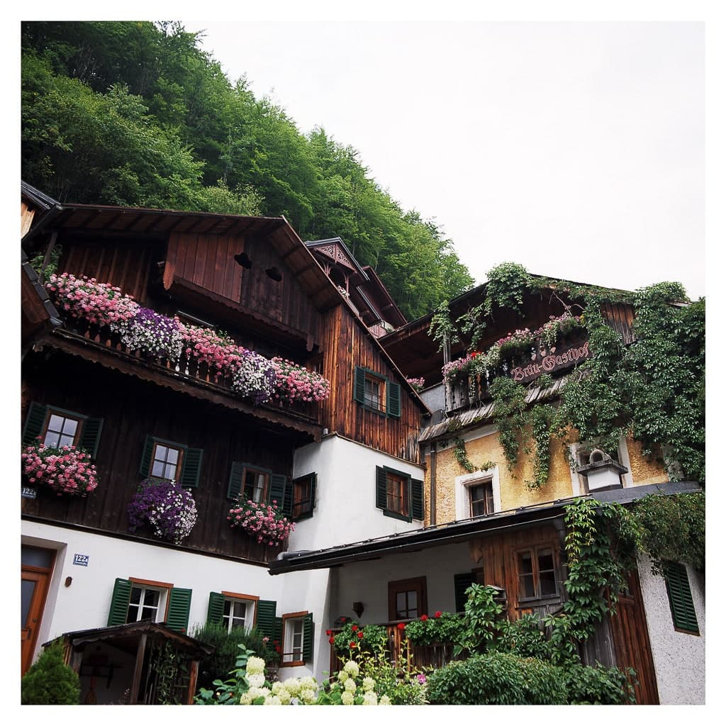 Analóg felvételel - color – 124. kép – Fülöp Péter fotográfus