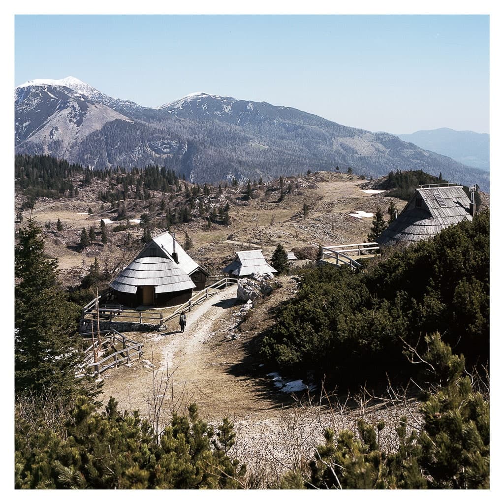 Analóg felvételel - color – 149. kép – Fülöp Péter fotográfus